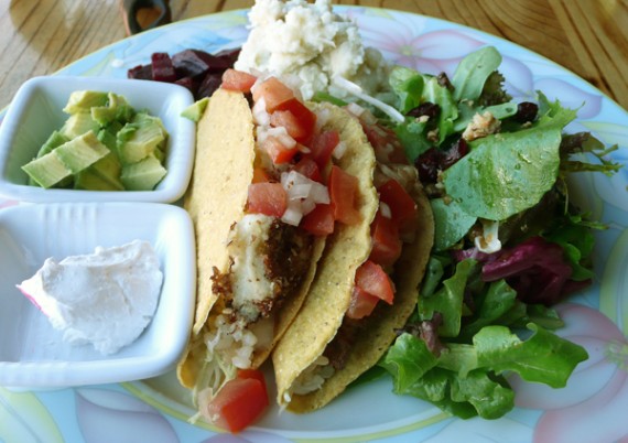 casa de tree tacos with seitan, vegetables, soy sour cream and side salads. $9.75