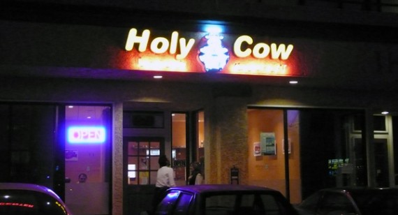 holy cow