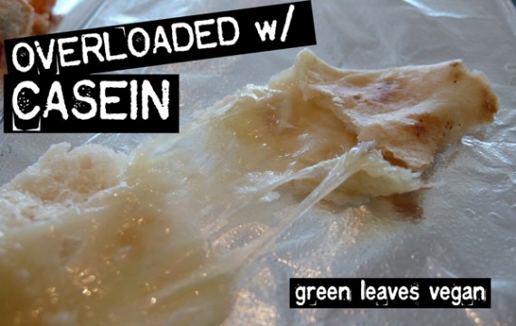 Green Leaves Vegan: Quesadilla tested OVERLOADED with Casein