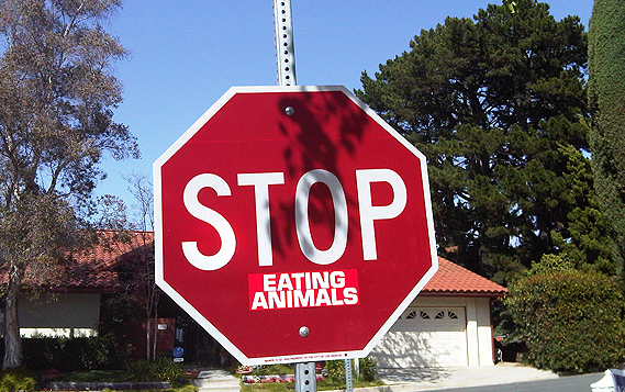 stop-eating-animals
